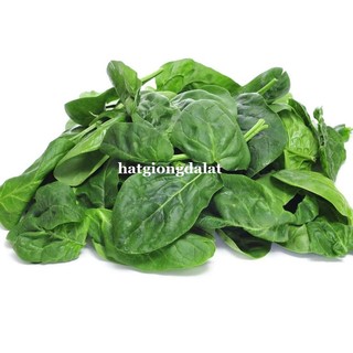 5 Gram - Hạt Giống Cải Bó Xôi Phương Nam