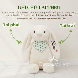 Thỏ Bông Thêu Tên Theo Yêu Cầu Gấu Bông Lông Mềm Quà Tặng Cho Bé Và Người Yêu Dollarminho