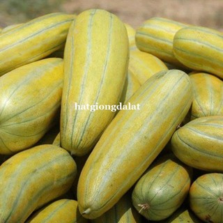 1Gram - Hạt Giống Dưa Gang Phương Nam