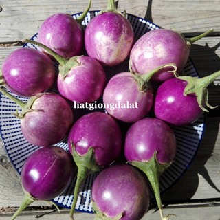 1 Gram - Hạt Giống Cà Pháo Tím Phương Nam