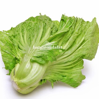 20 Gram - Hạt Giống Cải Bẹ Dưa Phương Nam