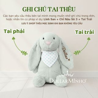 Thỏ Bông Bunny Thêu Tên Theo Yêu Cầu, Gấu Bông Mềm Dành Cho Bé Và Người Thương