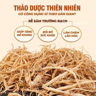 Rễ sâm Trường Bạch 100g, nhân sâm núi, dùng pha trà, hầm canh, ngâm uống, tốt cho sức khỏe