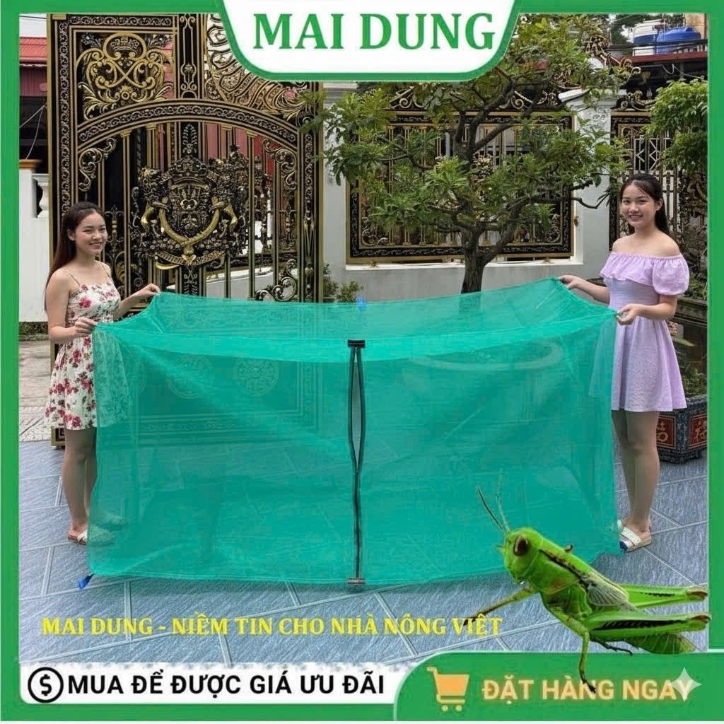 Lồng nuôi cào cào, châu chấu, mùng nuôi ruồi lính đen