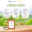 KINKA - Chè Dây túi lọc - Hộp 50g (2g x 25 túi)