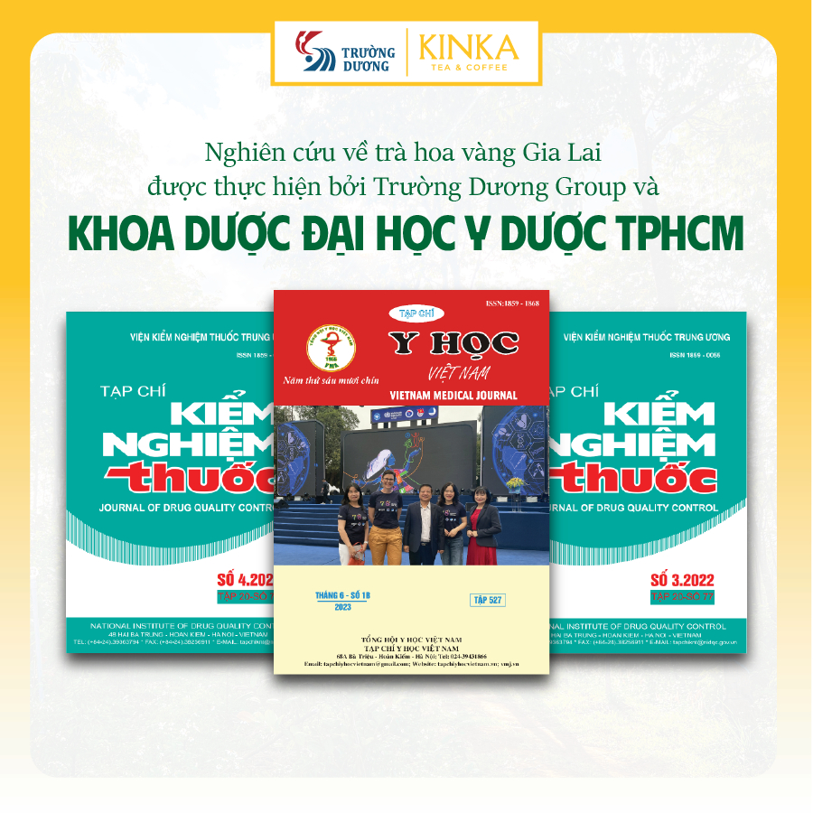 KINKA Trà Hoa Vàng Gia Lai & Atiso - hỗ trợ chức năng gan, chống oxy hoá - Hộp 20 gói x 2g