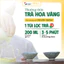 KINKA - Trà Hoa Vàng Gia Lai & Dây Thìa Canh - DIABETEA | Hộp 40g (20 gói x 2g)