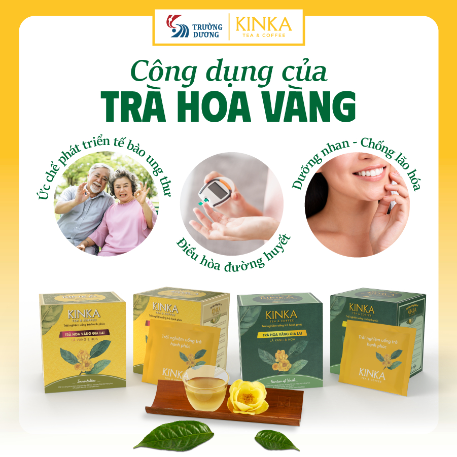 KINKA Trà Hoa Vàng Gia Lai - Lá Xanh & Hoa - FOUNTAIN OF YOUTH - Hộp 40g (20 gói x 2g)