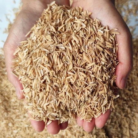 Vỏ Trấu, Trấu Sống Sạch Đã Qua Xử Lý An Toàn Cho Cây Trồng