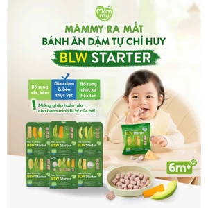 Bánh Ăn Dặm Tự Chỉ Huy, Bánh Cho Bé Từ 6 Tháng Tuổi Nguyên Liệu Tự Nhiên BLW