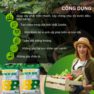 Phân Hữu Cơ viên nén đậm đặc Bounce Back- BB Úc (5KG), dùng cho cây kiểng, hoa lan, bonsai