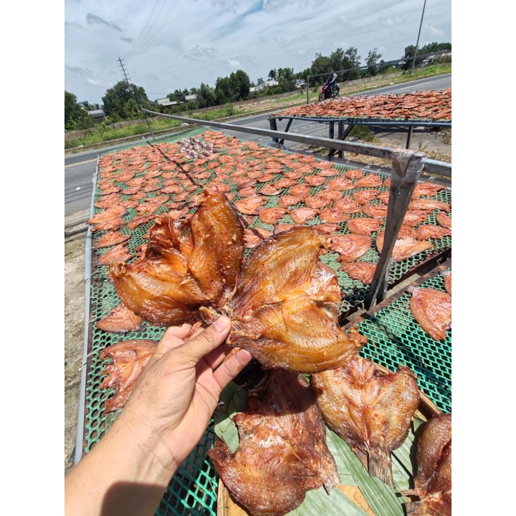 KHÔ CÁ PHI LÓC XƯƠNG LƯNG SÓC TỎI ỚT VỊ VỪA ĂN.giá tại xưởng