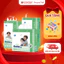 Tã Quần Goldgi X5 3D Chống Tràn Thấm Hút Tốt Siêu Khô Thoáng Nhiều Size - Bibo Mart