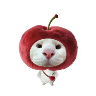 móc khoá mèo cute dễ thương meme hài hước