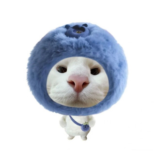 móc khoá mèo cute dễ thương meme hài hước