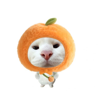 móc khoá mèo cute dễ thương meme hài hước