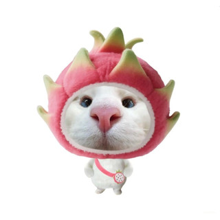 móc khoá mèo cute dễ thương meme hài hước