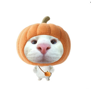 móc khoá mèo cute dễ thương meme hài hước