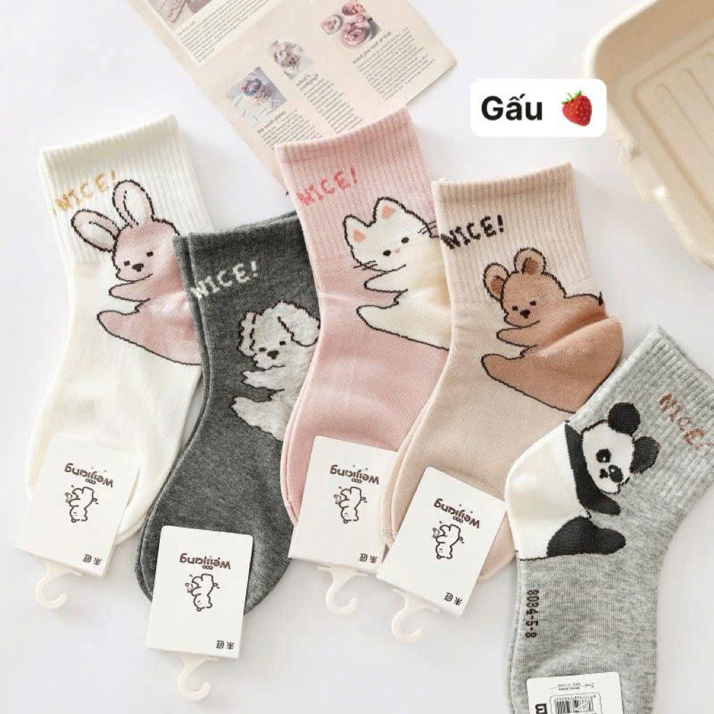 Set 10 đôi tất cotton cute cho bé 1-12 tuổi