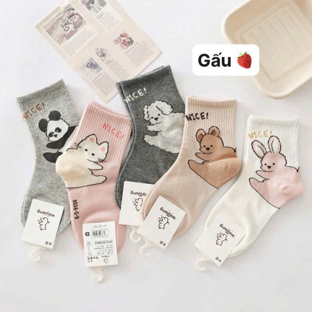 Set 10 đôi tất cotton cute cho bé 1-12 tuổi