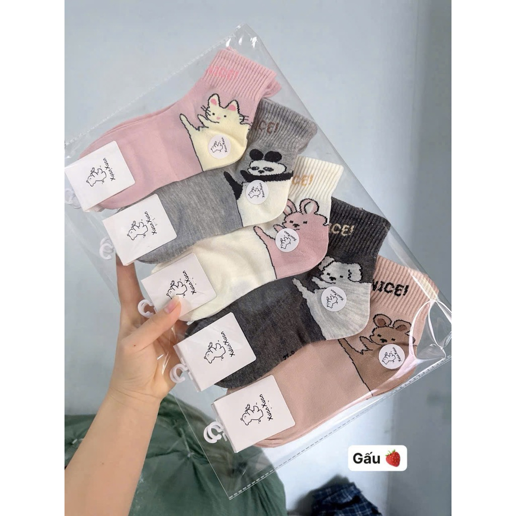Set 10 đôi tất cotton cute cho bé 1-12 tuổi