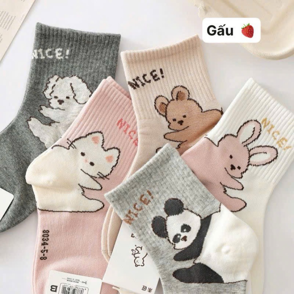 Set 10 đôi tất cotton cute cho bé 1-12 tuổi