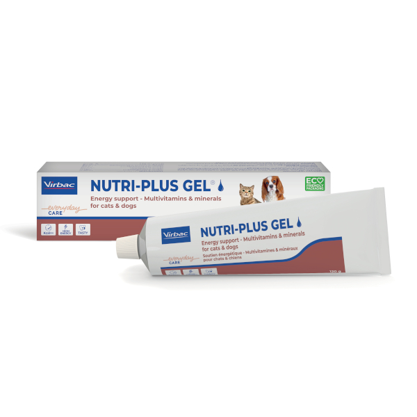 ( DATE XA 2027 ) Gel Dinh Dưỡng Virbac Nutri Plus Gel-Dinh dưỡng toàn diện cho thú cưng