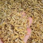 5 KG Trấu Đã Trộn Sẵn Vi Sinh: Dùng Làm Đệm Lót Chuồng Gà Rutin, Hamster, Ngan, Vịt...Mộc Hoa Viên