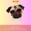 Bộ Hình In, Ủi Nhiệt Sticker Pug Ngộ Nghĩnh 02 - CP8 PET Sticker