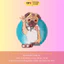 Bộ Hình In, Ủi Nhiệt Sticker Pug Ngộ Nghĩnh 02 - CP8 PET Sticker