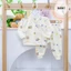 Combo 3-5 Bộ Dài Tay Sơ Sinh Chất Nỉ Hàn Mềm, Mịn Mặc Thu Đông cho bé Sơ Sinh 0-18 tháng tuổi Bahu_Baby