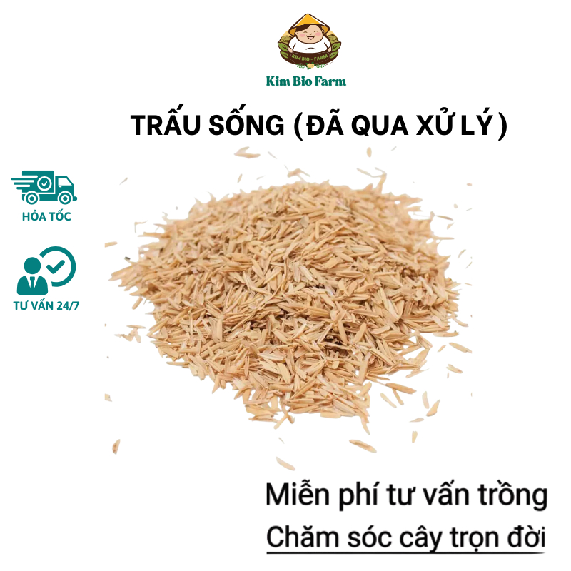 Vỏ Trấu, Trấu Sống Sạch Đã Qua Xử Lý An Toàn Cho Cây Trồng