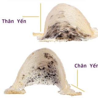 Hộp 10g Chân Yến Tinh Chế Dùng Thử - Sản Phẩm Chất Lượng - Yến Nàng Hương - Yến Sào Chính Hãng