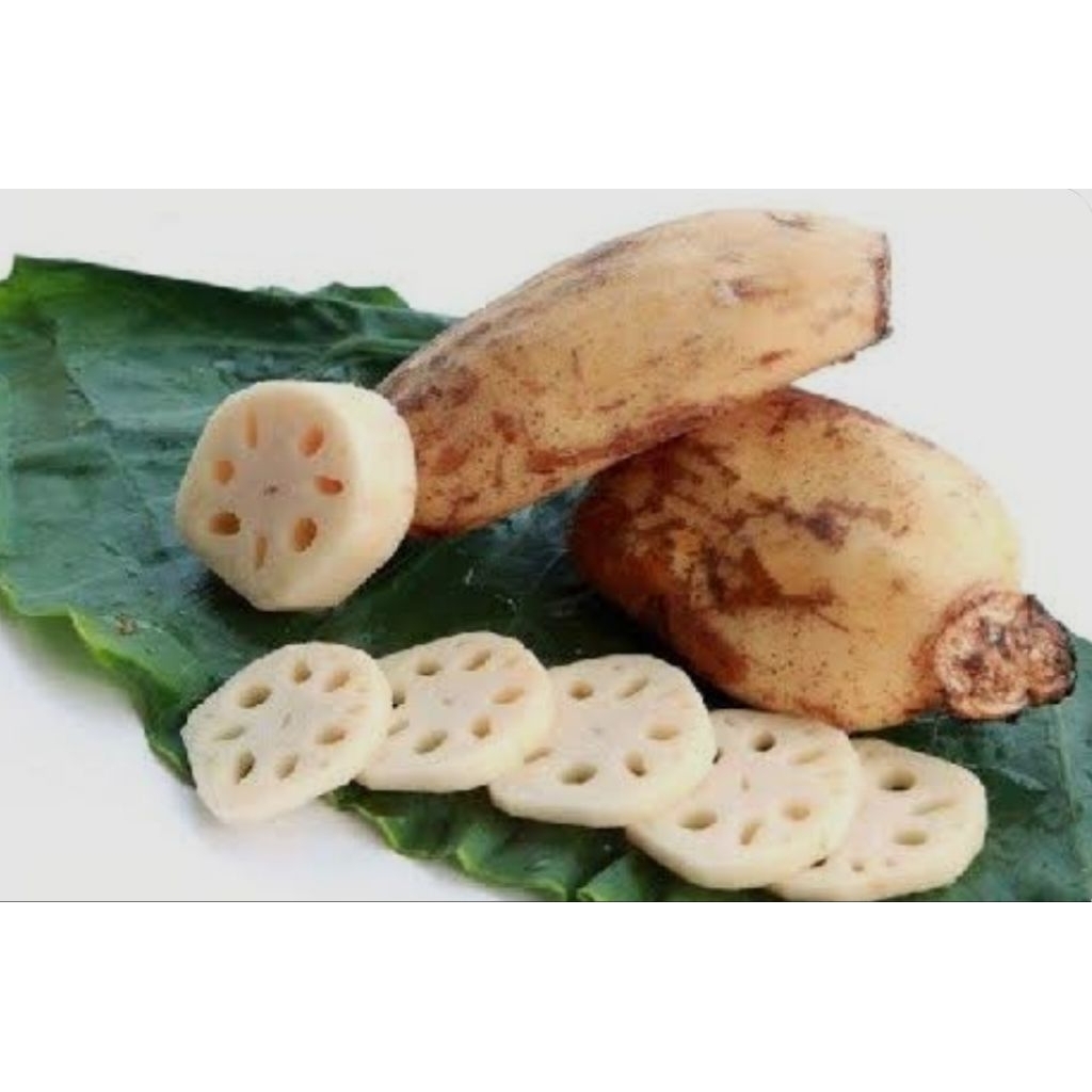 1kg củ sen | Shopee Việt Nam