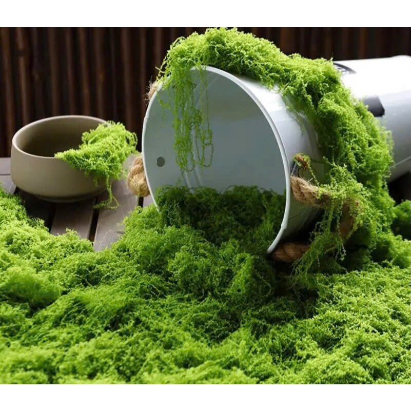 Rêu sợi nhân tạo phủ gốc cây,Trang trí chậu cây mini, tiểu cảnh, tường xanh & quán cà phê decor