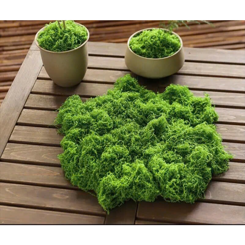 Rêu sợi nhân tạo phủ gốc cây,Trang trí chậu cây mini, tiểu cảnh, tường xanh & quán cà phê decor