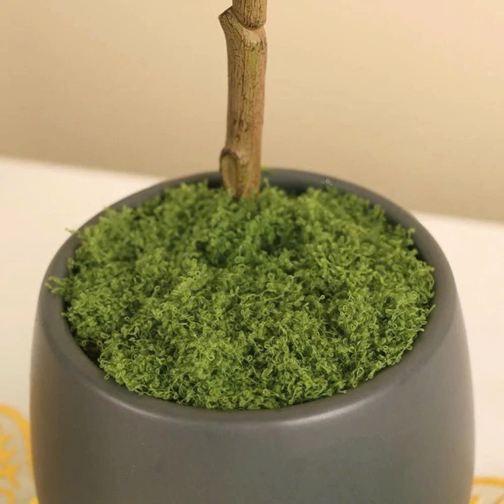 Rêu sợi nhân tạo phủ gốc cây,Trang trí chậu cây mini, tiểu cảnh, tường xanh & quán cà phê decor