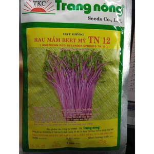 RAU MẦM CỦ DỀN ĐỎ TN 12 - DATE MỚI NHẤT