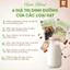 30 NGÀY Hạt Dinh Dưỡng Hữu Cơ Hút Chân Không Nấu Sữa,Ăn Dặm, Cháo Bé, Kiểm Soát Cân Nặng