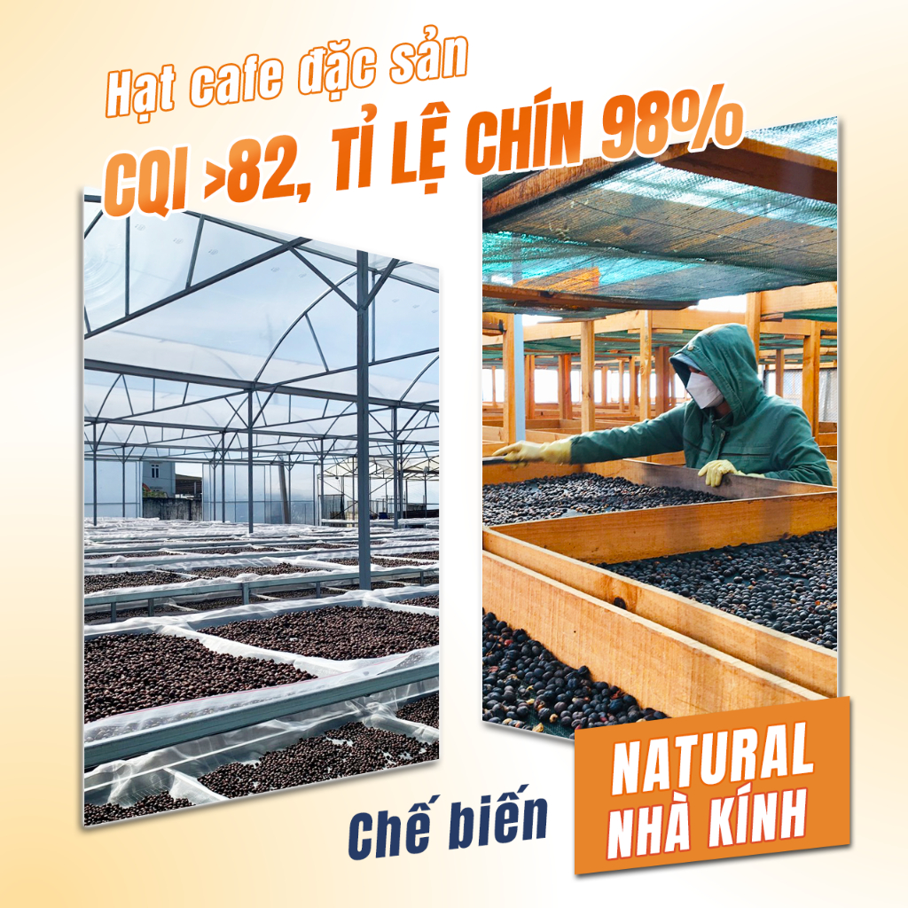 Cà Phê Đen Hòa Tan Không Đường Scafe Việt Nam Americano Hộp 10 gói x 2g
