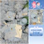 C55- set 3ct cộc túi in mickey kèm mũ- a111.110