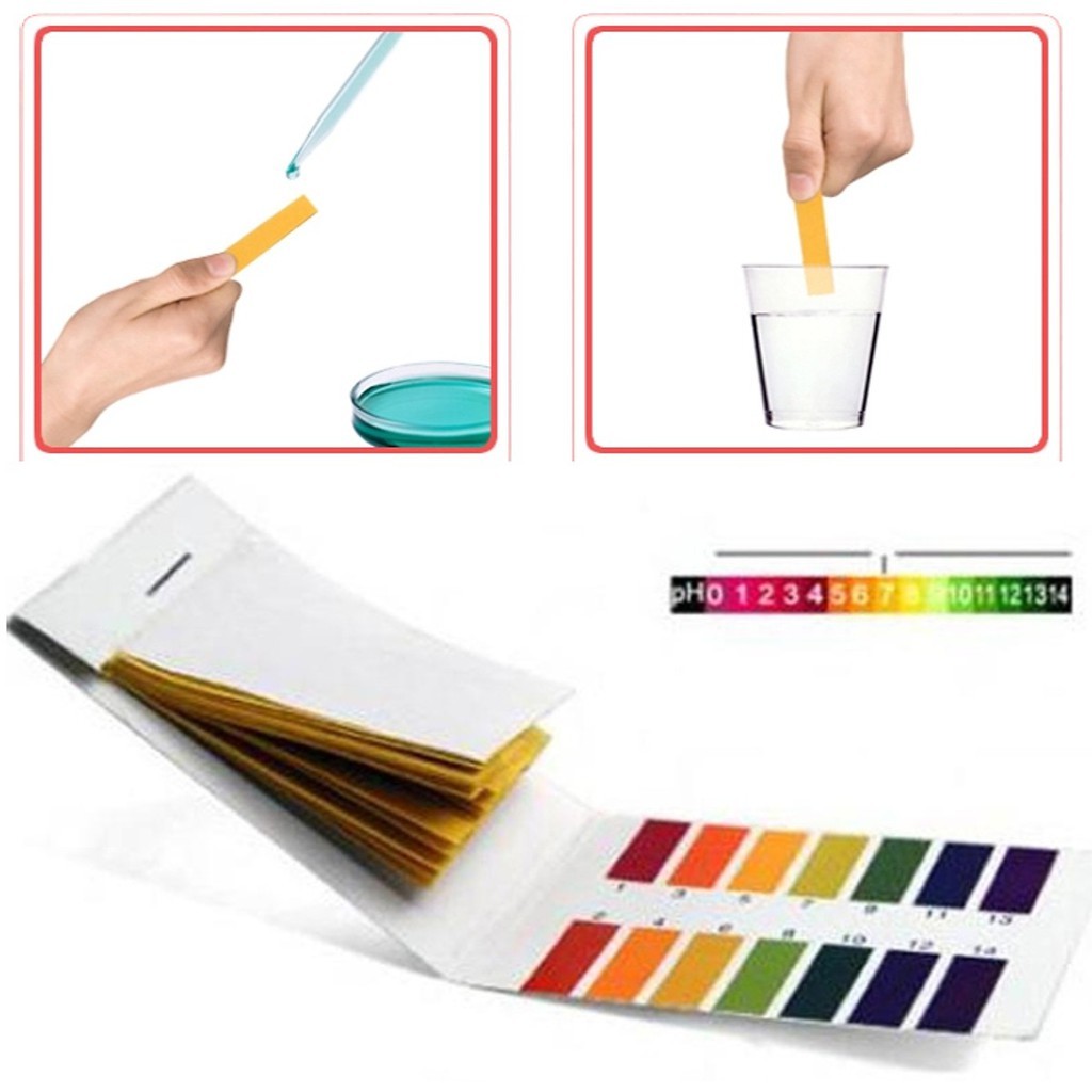 Giấy quỳ tím đo độ PH