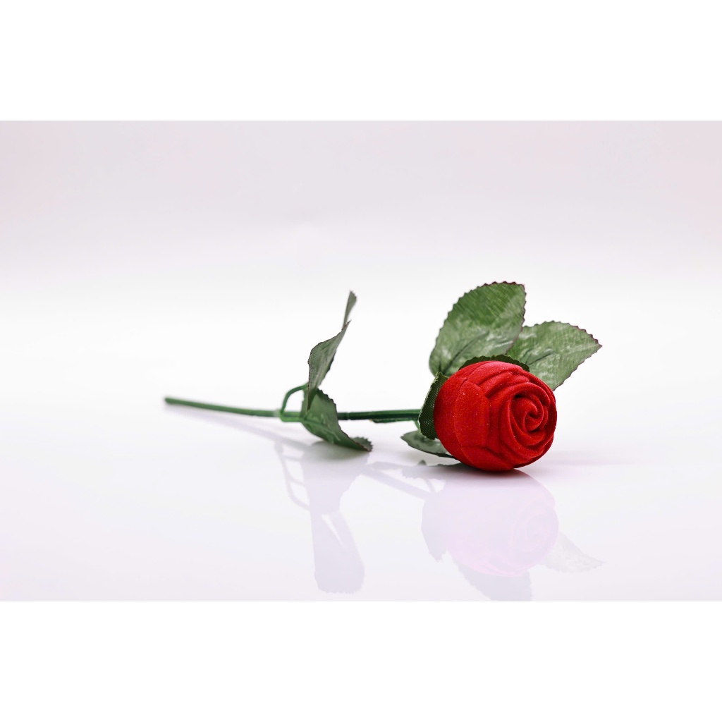 Mã BT89. Bông Tai ngọc Trai Nuôi Nước Ngọt Dày 6-7Li . Forever Young Pearl
