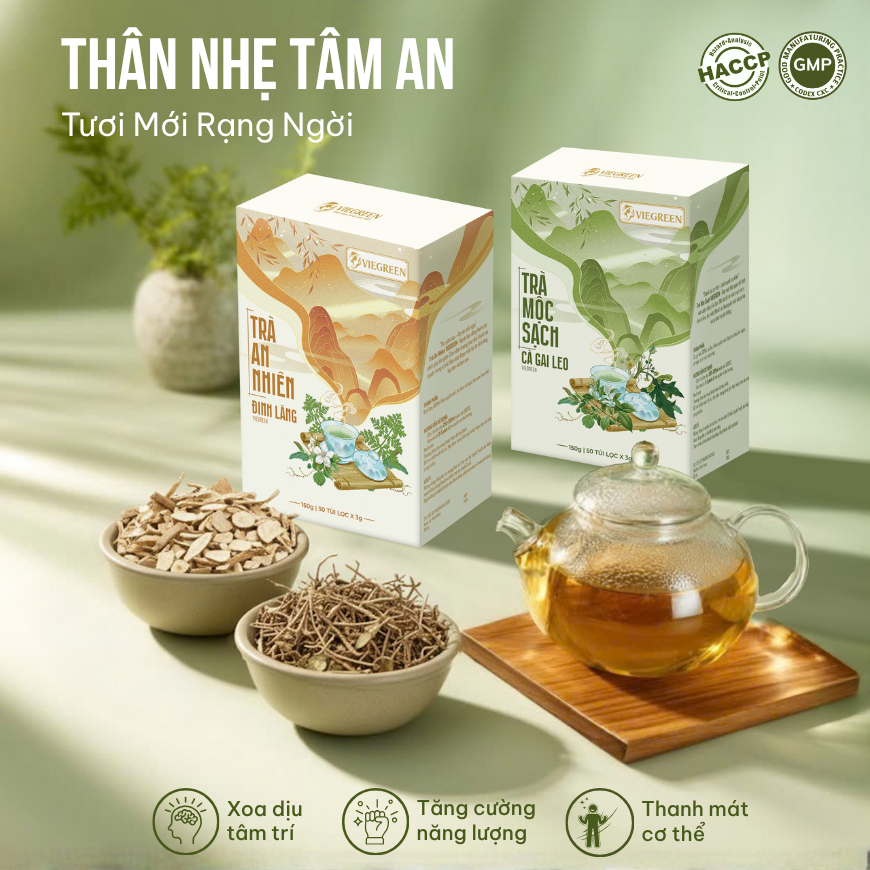 Combo 2 Trà Túi Lọc Cà Gai Leo + Đinh Lăng VIEGREEN 50x3g + 50x3g, GMP HACCP