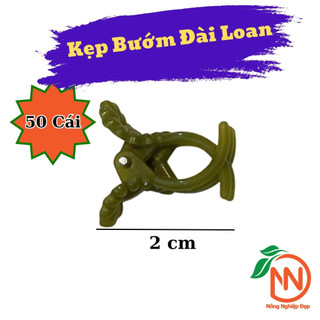Combo 50 kẹp Hình Bướm Đài Loan Size Trung - Dụng Cụ Dùng Để kẹp keiki Cho Hoa Lan