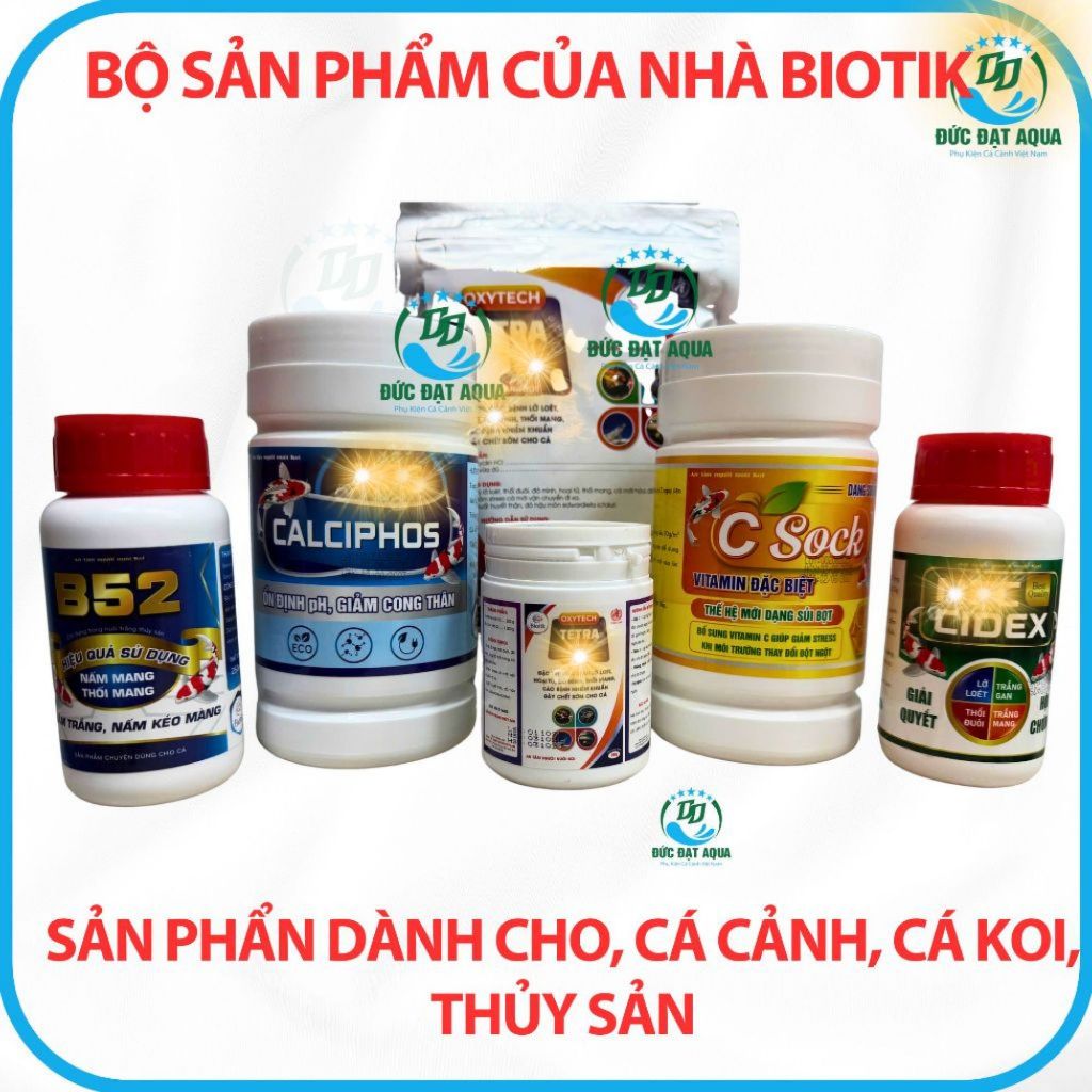 chăm sóc cá koi, cá cảnh, thủy sản biotik, B52, C SOCK, CALCIPHOS, CIDEX,TETRA, KOPCHA, BKC++8000
