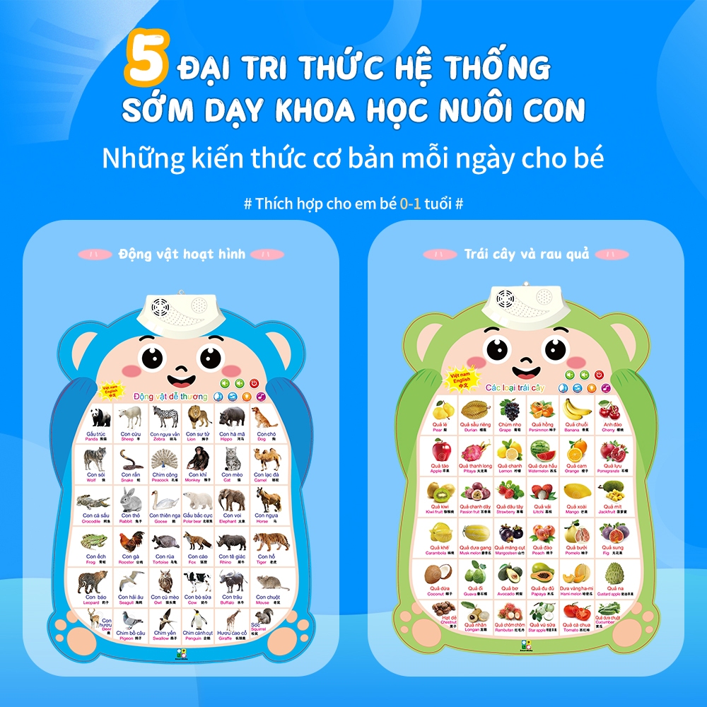 Bảng Học Tập Trẻ Em 3 Ngôn Ngữ Việt-Anh-Trung, Thú Nhí Độc Đáo, Học Chữ Cái, Động Vật & Xe Cộ