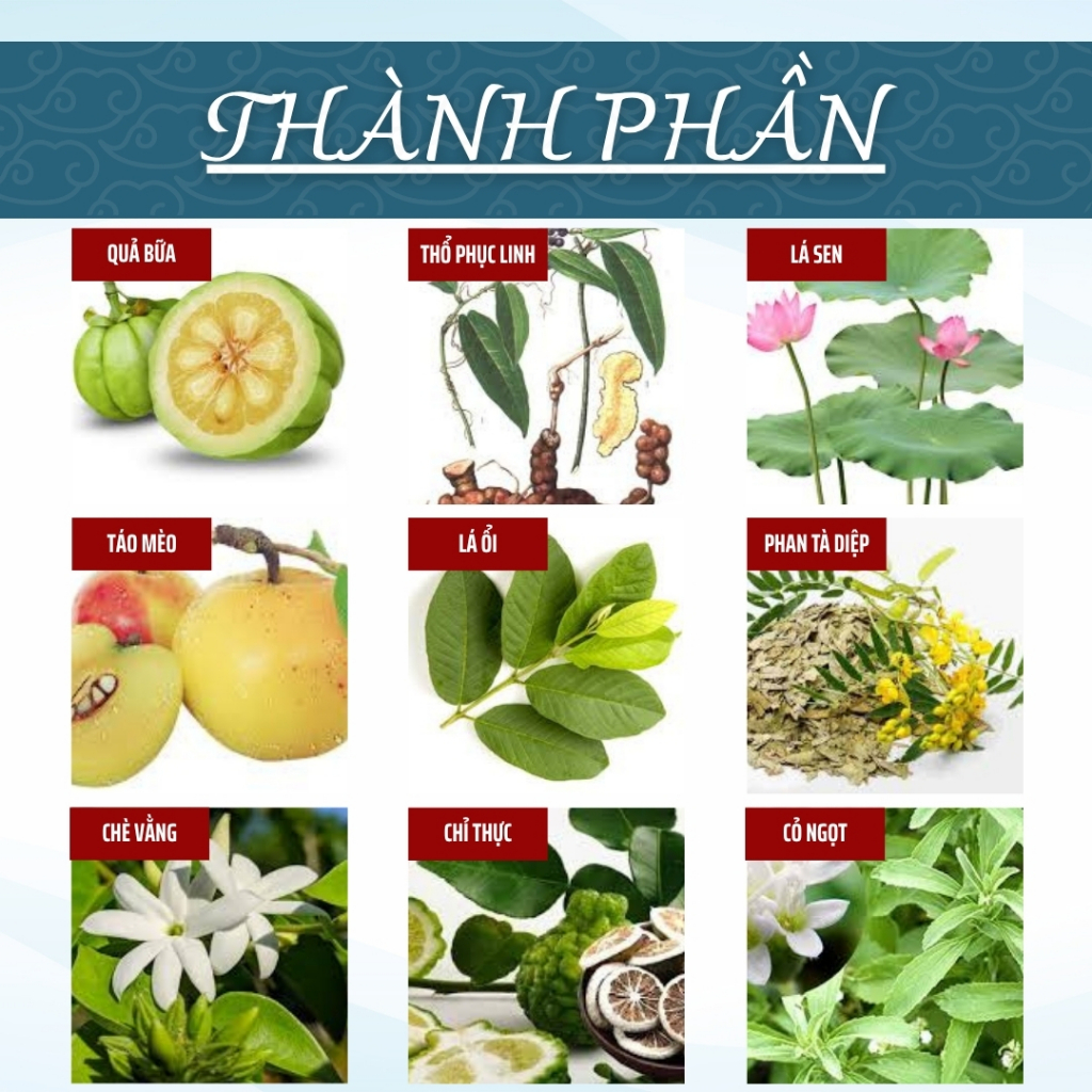 HÒA BÌNH ORGANIC - Trà Túi Lọc Lá Nam 10 Vị - Thanh lọc, Thanh Nhiệt, Thải độc, Giảm cân - Bịch 50 lọc