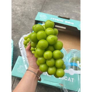 [ HOẢ TỐC ] [ JENNY FRUIT ] Giỏ quà tặng trái cây kèm bông BT201