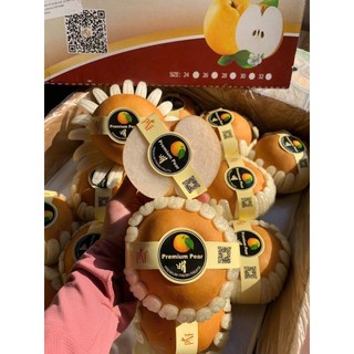 [ HOẢ TỐC ] [ JENNY FRUIT ] Giỏ quà tặng trái cây kèm bông BT201